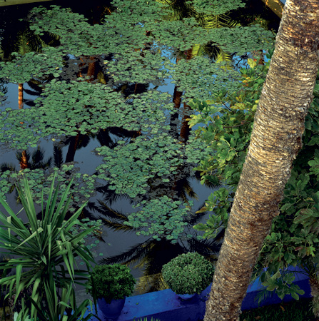 Majorelle