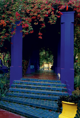 Majorelle