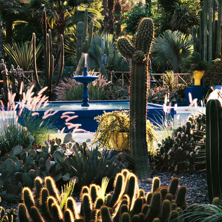Majorelle