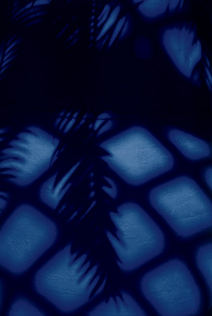 Majorelle