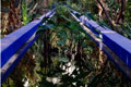 Majorelle