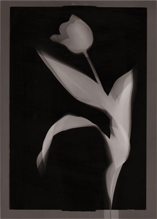 Photogrammes